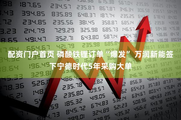 配资门户首页 磷酸铁锂订单“爆发” 万润新能签下宁德时代5年采购大单